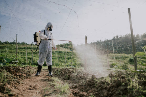 Best Commercial Pest Control Services  in Bremerton, WA