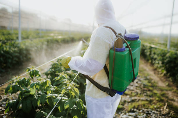 Best Pest Control Near Me in Bremerton, WA